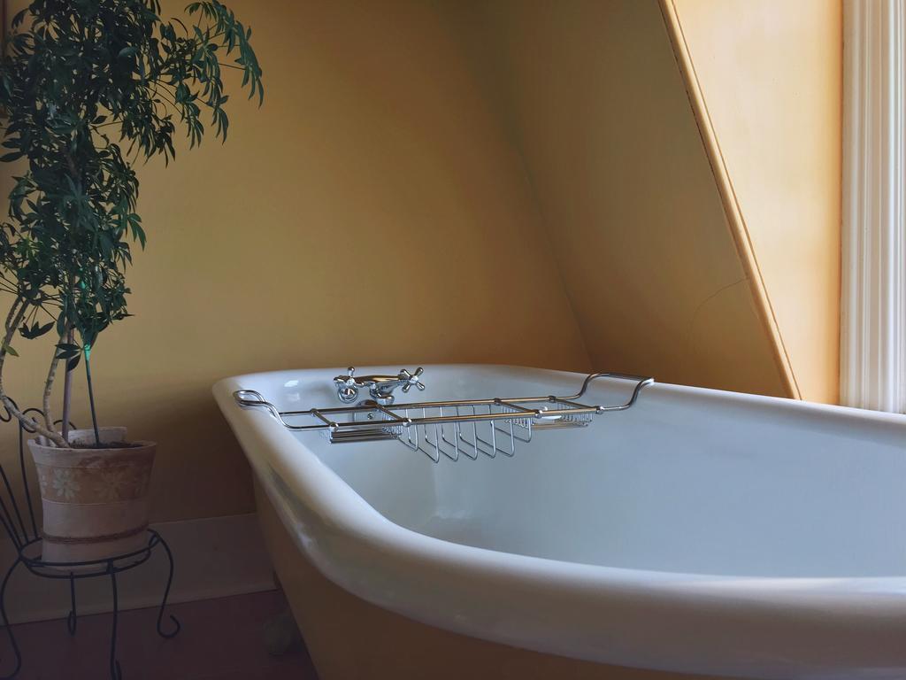 At Wit'S Inn Saint-Jean de Terre-Neuve Extérieur photo